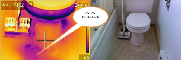 Infrared image example of a toliet leak.